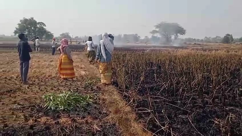 रायबरेली - सरकार के आदेशों की धज्जियां उड़ा रहे किसान की लापरवाही दूसरे किसान को बड़ी भारी, हुआ हजारों का नुकसान