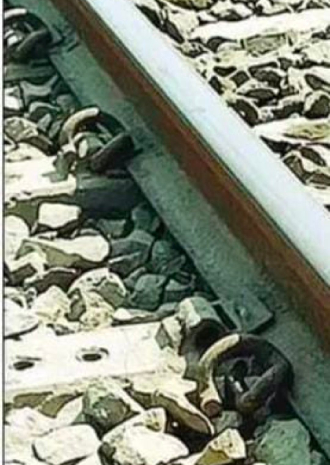 रायबरेली- ऊंचाहार में रेलवे ट्रैक की चाबियों को निकालने का एक वीडियो सोशल मीडिया पर हुआ वायरल