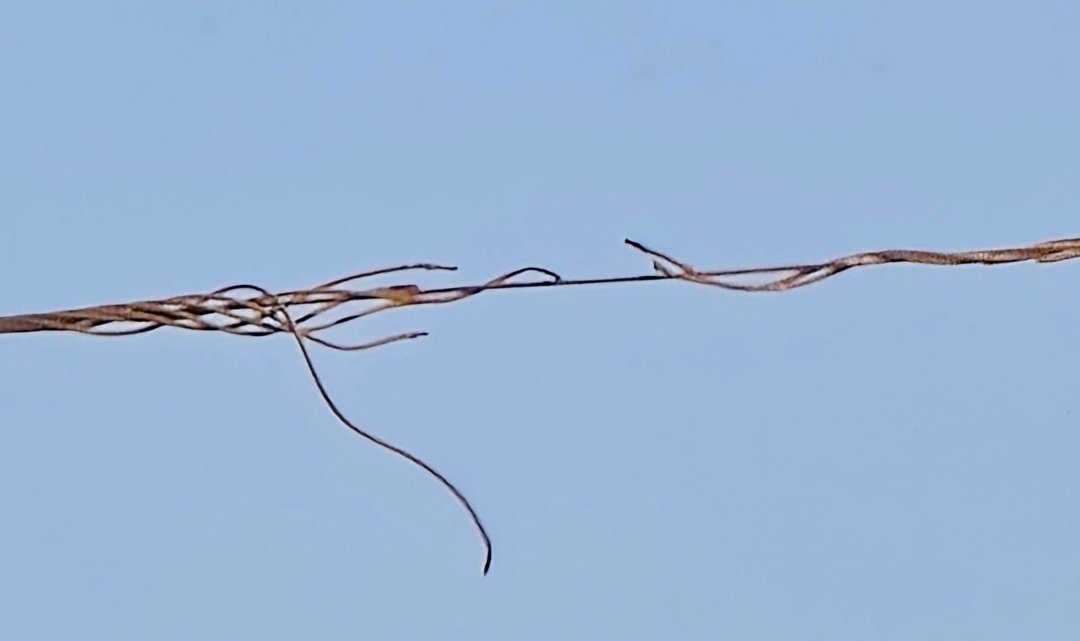 रायबरेली-बिजली विभाग की बड़ी लापरवाही आई सामने जाने क्यां ? 