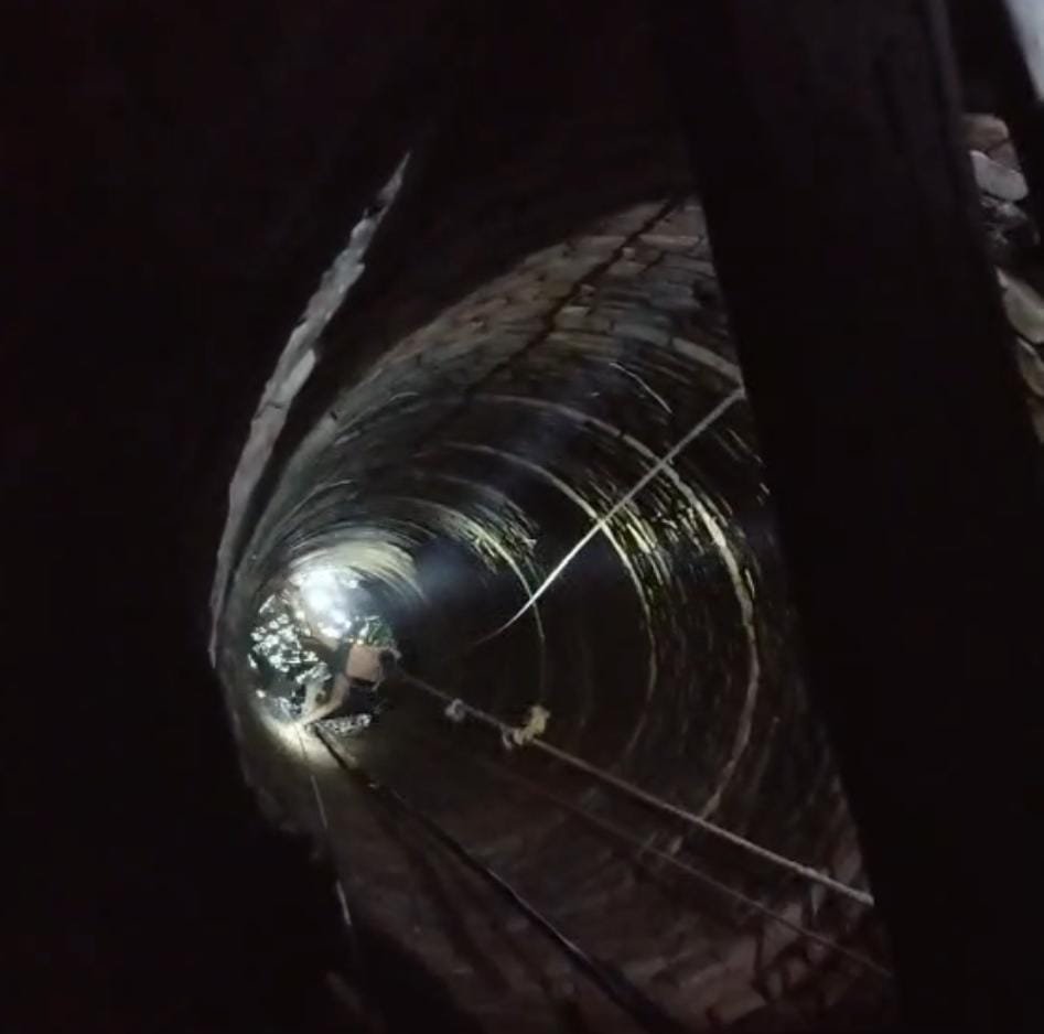 रायबरेली- कुएं में गोवंश को डायल 112 ने ग्रामीणों की मदद से किया रेस्क्यू 