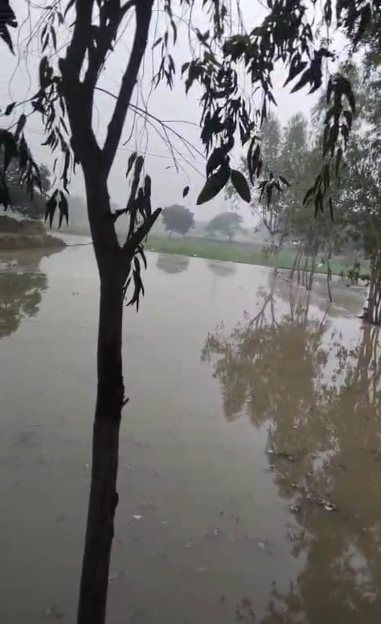 रायबरेली- माइनर में सफाई में फर्ज अदायगी  किसानों की दसियों बिखे जमीन जल मंग्न