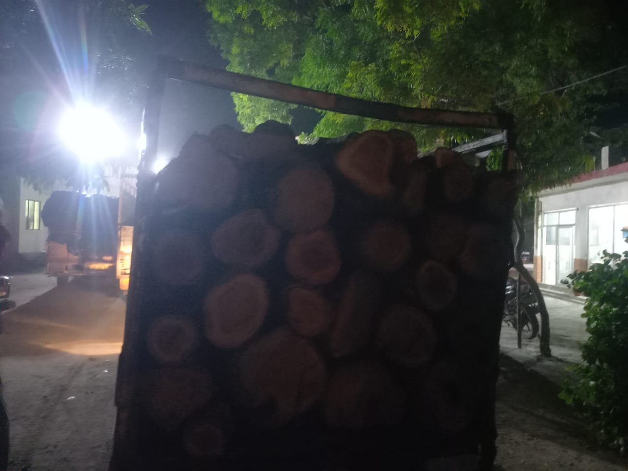 Raebareli:कटान की सूचना पर वन दरोगा ने सागौन की तीन पिकअप लकड़ी की बरामद मुकदमा दर्ज