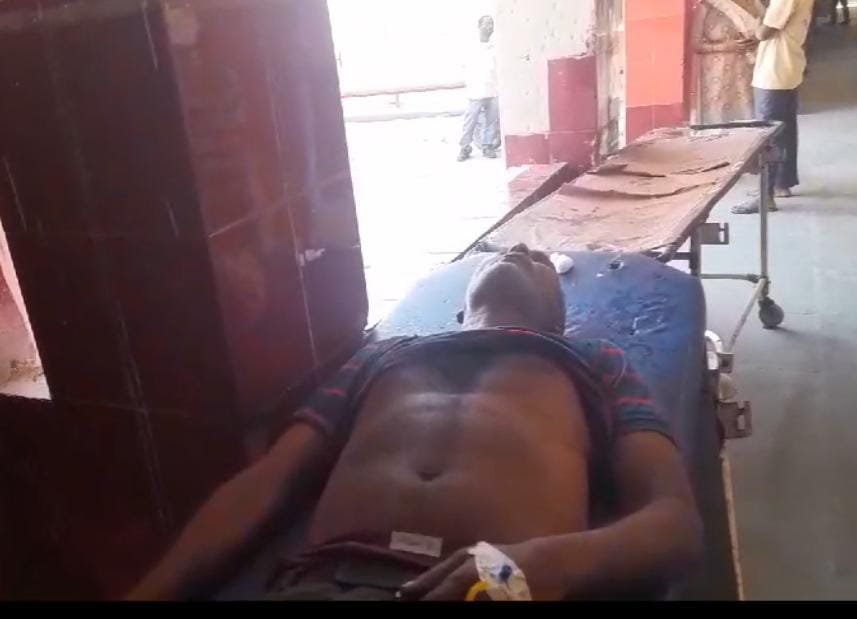 रायबरेली-मधुमक्खियों ने अधेड़ पर बोला हमला , हालत गंभीर