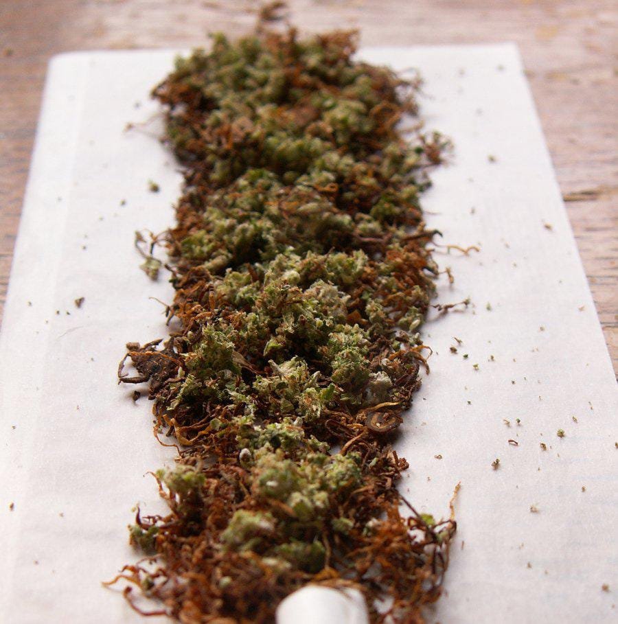 रायबरेली-ऊंचाहार बना गांजा के अवैध कारोबार का हब , बड़े पैमाने पर हो धंधा