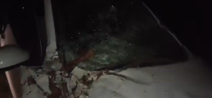 रायबरेली - नीलगाय को बचाने में कार अनियंत्रित होकर पेड़ से टकराई