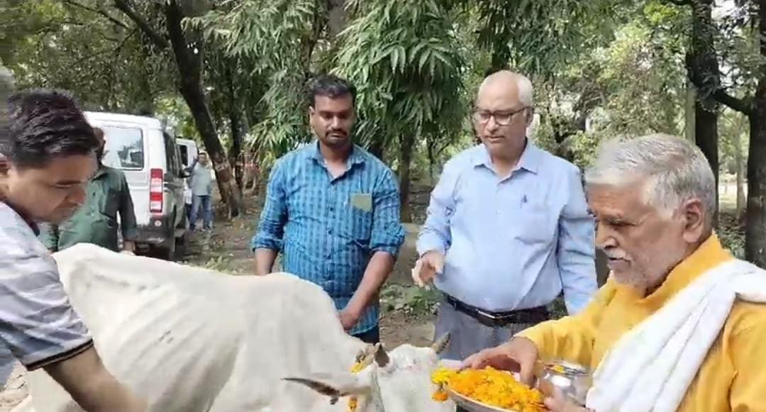 Raebareli:जन्माष्टमी के पर्व पर गौवंशो की पूजा कर गौशालाओं की स्थिति को बेहतर बनाने के दिए निर्देश
