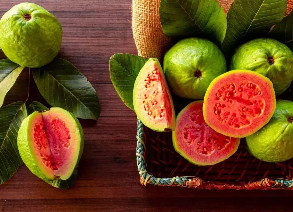 सर्दियों में गुलाबी अमरूद खाने के है कई फायदे, इन मरीज़ों के लिए रामबाण है…