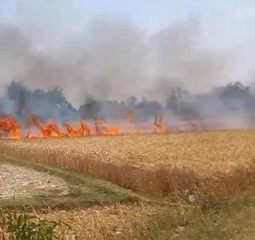 रायबरेली-अज्ञात कारणों से गेंहू के खेत में लगी आग,,,,,