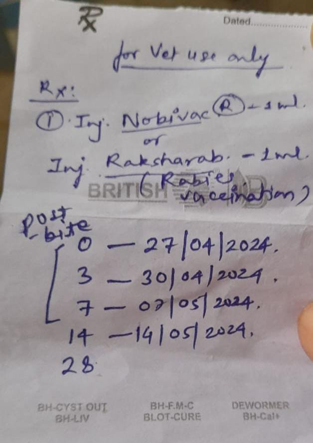 रायबरेली-बीमार मवेशियों के लिए जाइए निजी मेडिकल स्टोर,,, 