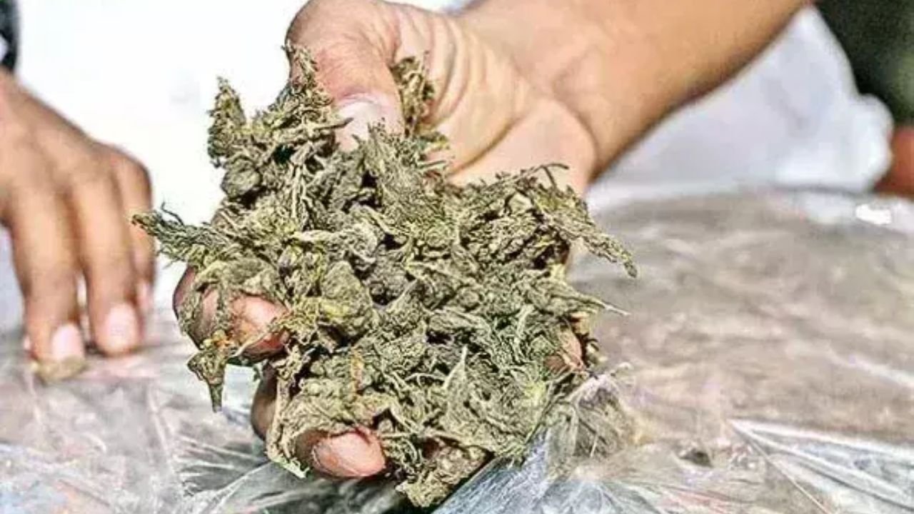 Raibareli-डलमऊ के संतोष और बाबू मिलकर चलाते है गांजा का व्यापार