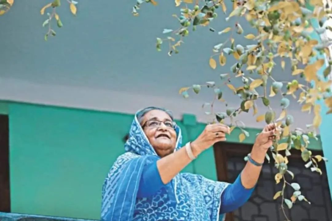 अब कैसे होगी शेख हसीना की कमाई जाने सिंगापुर से दुबई तक कितनी प्रोपर्टी