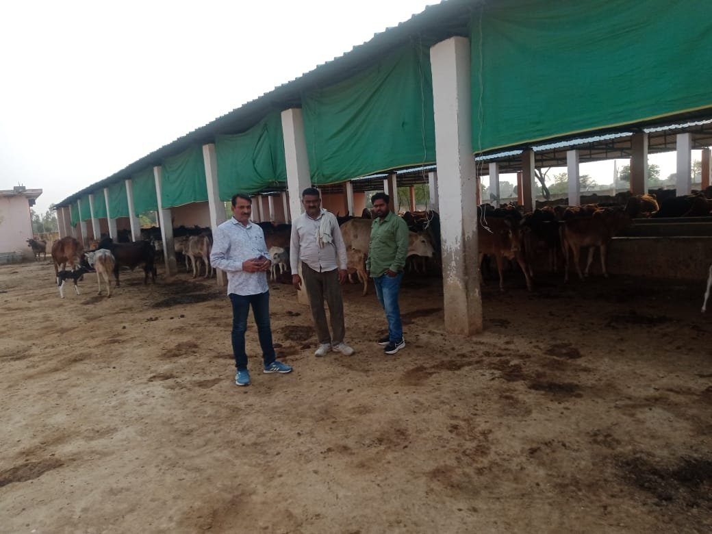 रायबरेली-नगर पंचायत अध्यक्ष प्रतिनिधि ने देखी गौशाला की व्यवस्था , दिए निर्देश 
