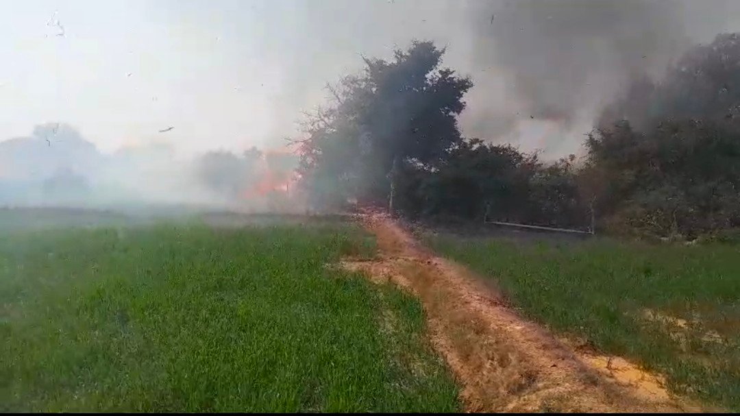 रायबरेली में सरेनी के जंगल में लगी भीषण आग