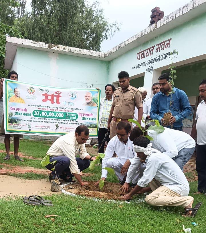 एक पेड़ माँ के नाम" कार्यक्रम के तहत प्रधान निगोंहा नें किया पौधा रोपण,,, 
