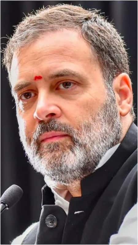 रायबरेली- राहुल गाँधी कल सुबह 10 बजे ऊंचाहार विधानसभा के बाबूगंज में करेंगे वर्कर्स मीटिंग,, 