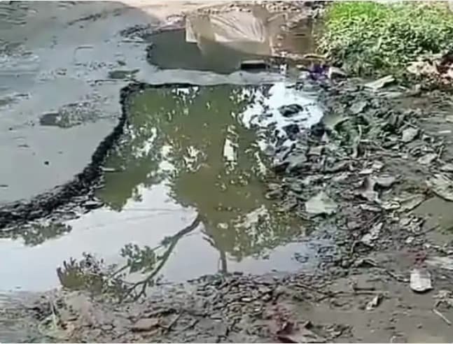 भीमनगर की सड़क पर हुए गड्डे, नालो की पानी गड्डे में भरने से राहगीरों को निकलना हुआ दूभर