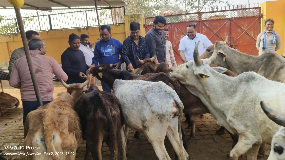 रायबरेली-पिता की प्रथम पुण्यतिथि पर बेटे ने की गौ सेवा 