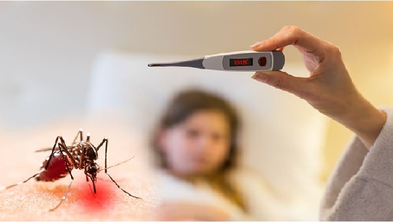 बदलते मौसम में तेजी से पैर पसार रहा डेंगू, इसके पहचान व बचाव के लिए इन निर्देशों का करें पालन…