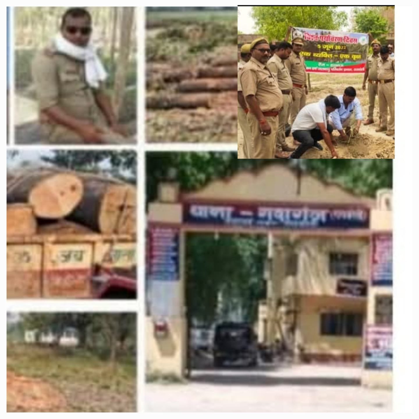 रायबरेली-वन माफिया के संरक्षणकर्ता बने वन विभाग में तैनात दरोगा अंकित सिंह