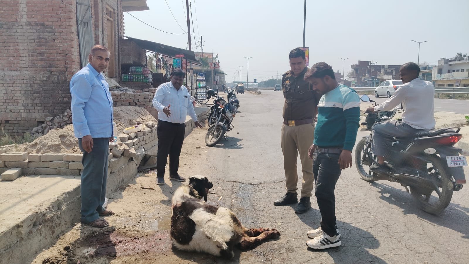 ऊंचाहार लेखपाल प्रमोद गुप्ता की दरिया दिली घायल गौवंश की मदद,,,,,? 