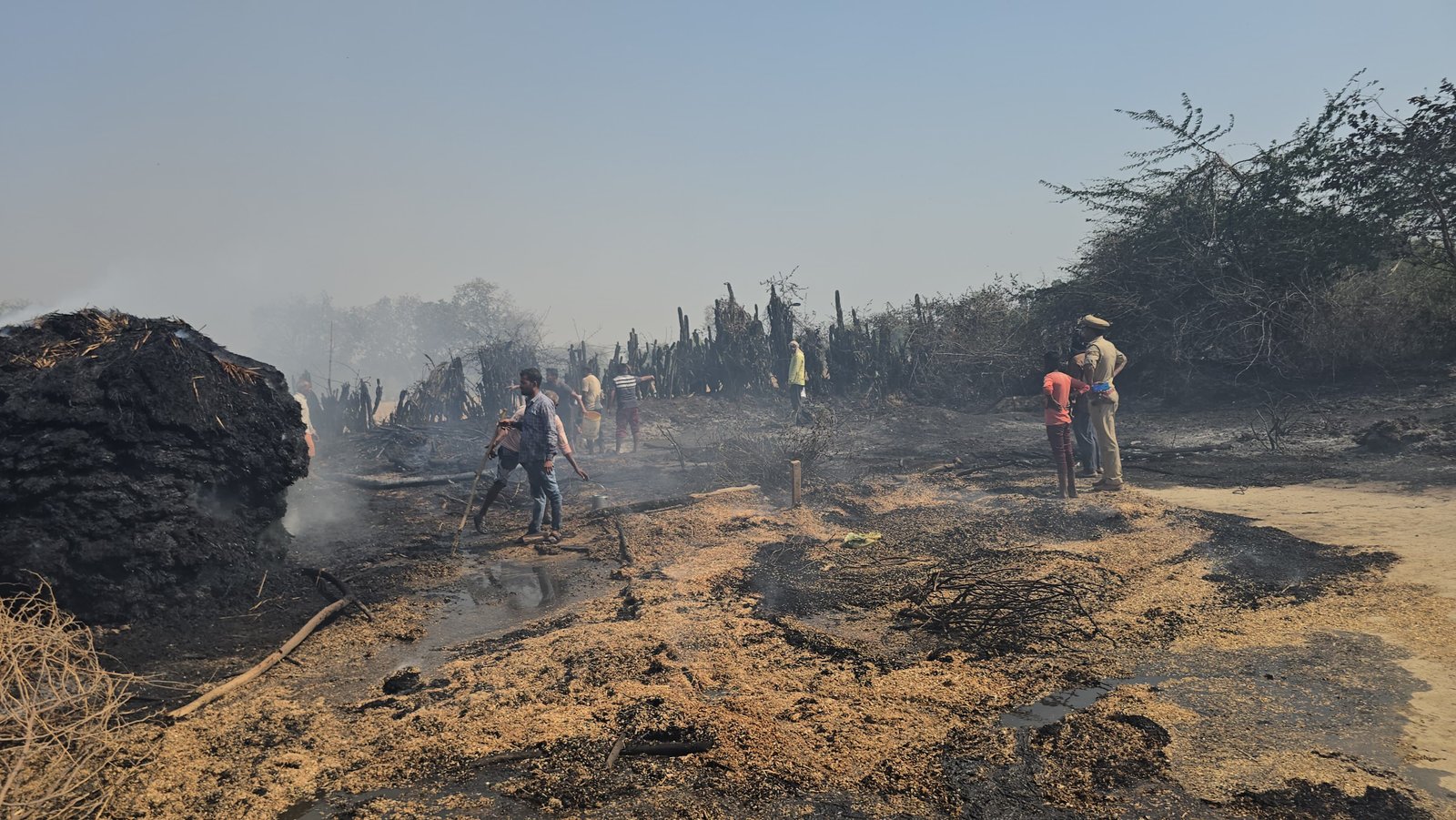रायबरेली-जंगल मे आग से लगने से मचा हड़कम्प