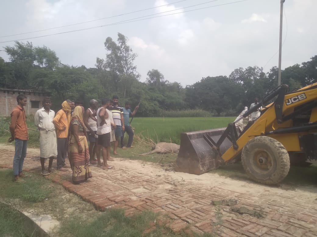 रायबरेली-मदारीपुर ग्राम प्रधान ने करवाया मृत नीलगाय वंश का अंतिम संस्कार,,,,