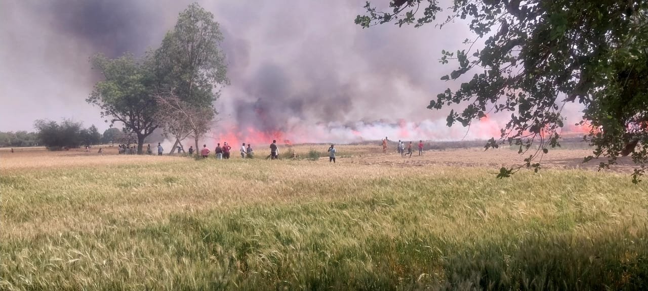 रायबरेली के भीरा गोविंद गांव में शॉर्ट सर्किट से खेतों में लगी भीषण आग