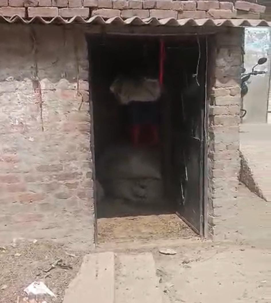 रायबरेली-अज्ञात चोरों ने कच्चे कमरे का दरवाजा तोड़कर चार मवेशी किया पार