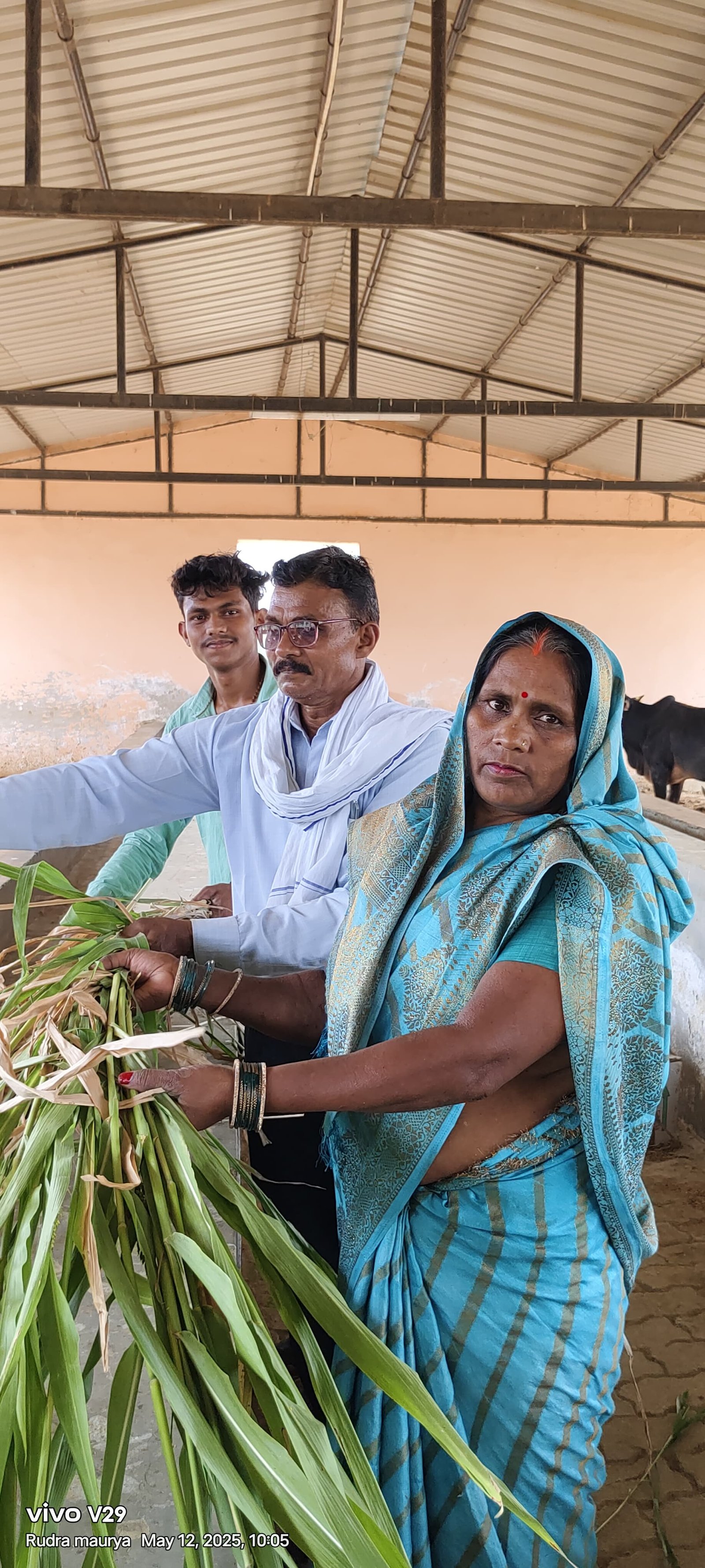 रायबरेली-बुद्ध पूर्णिमा पर कान्हा उपवन गौशाला में विशेष आयोजन,,,, 