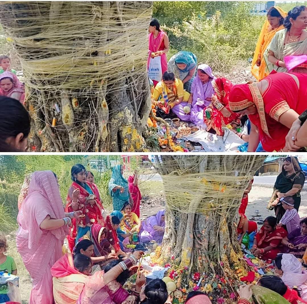 रायबरेली-वट वृक्ष की पूजा कर सुहागिनों ने मांगा अचल सुहाग का वरदान,,,,, 
