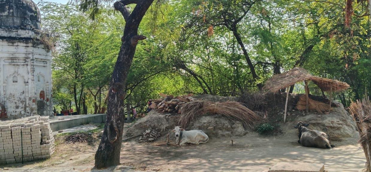 रायबरेली-लेखपाल का कारनामा जाने क्या,,,,,,