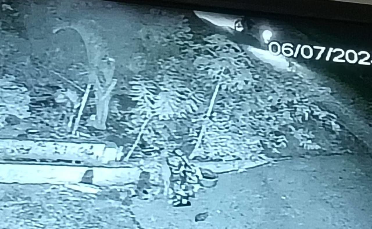 रायबरेली-टाइल्स की दुकान में हजारों की चोरी , पुलिस ने नहीं दर्ज की प्राथमिकी,,,,, 