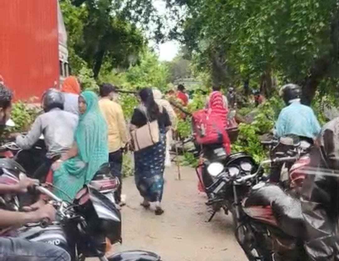 रायबरेली-तेज हवा और बारिश के चलते सड़कों पर गिरे पेड़ यातायात रहा बाधित,,,, 