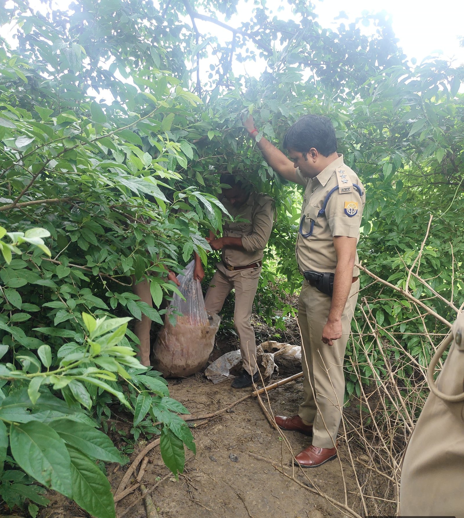 रायबरेली-आबकारी विभाग की बड़ी करवाई,चार अभियोग पंजीकृत