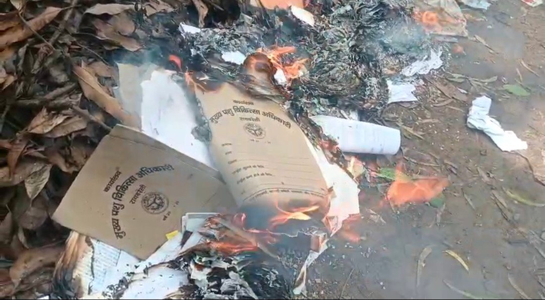 रायबरेली में फिर पशुपालन विभाग आया सुर्खियों में  पशु पालन विभाग की जलाई गई चोरी छिपे फाइले