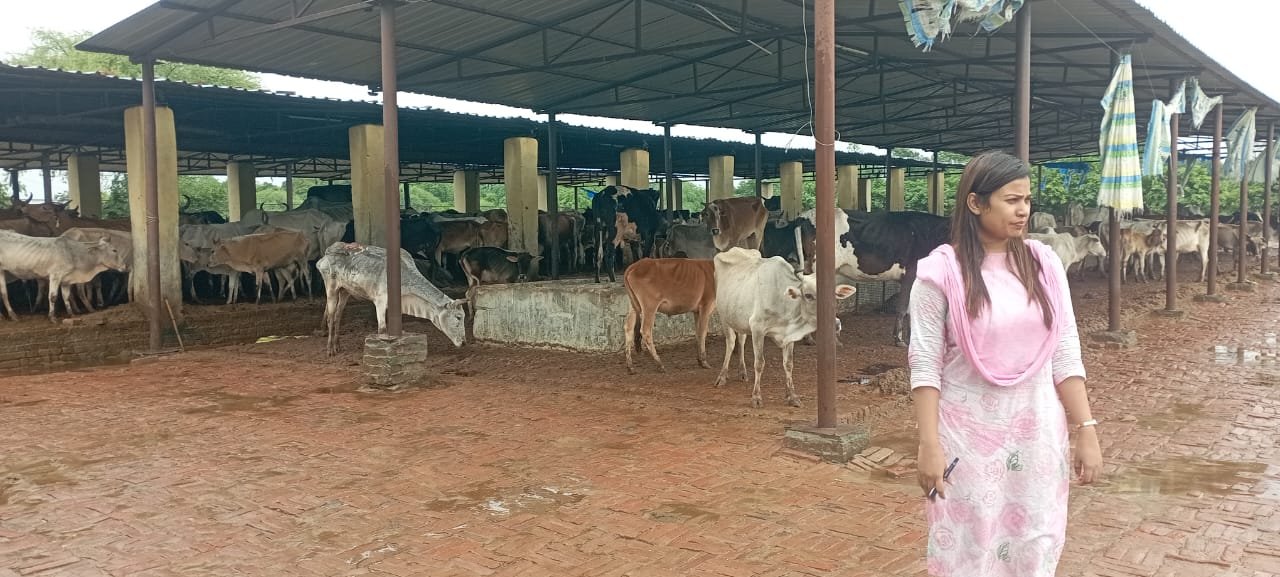 रायबरेली-जिलाधिकारी के निर्देश पर एडीएम , सभी एसडीएम एवं सभी तहसीलदारों ने क्षेत्र और गौशालाओं का किया निरीक्षण