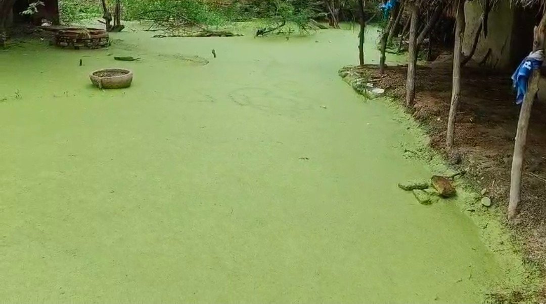 रायबरेली-24 घंटे बीत जाने के बाद भी ध्यान नही दे रहे डलमऊ बीडीओ