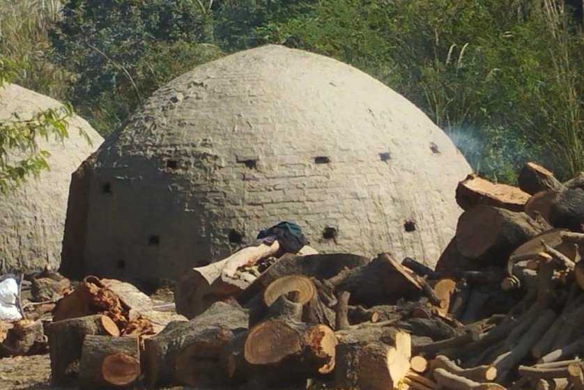 रायबरेली-डलमऊ में धधक रही हैं अवैध कोयला भट्ठियां, प्रकृति और लोगों की सेहत पर संकट, रेंजर की मेहरबानी पर उठे सवाल