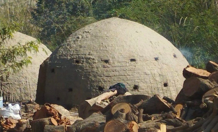 रायबरेली-डलमऊ में पुरानी भट्ठियों पर कार्यवाही ठप, नई भट्ठियों का तेजी से निर्माण,डलमऊ रेंजर बने अंजान