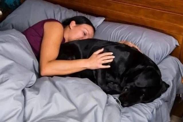 सेक्स की इच्छा हुई तो लड़की ने कुत्ते से बनाया संबंध, सोशल मीडिया पर भी वीडियो किया पोस्ट--