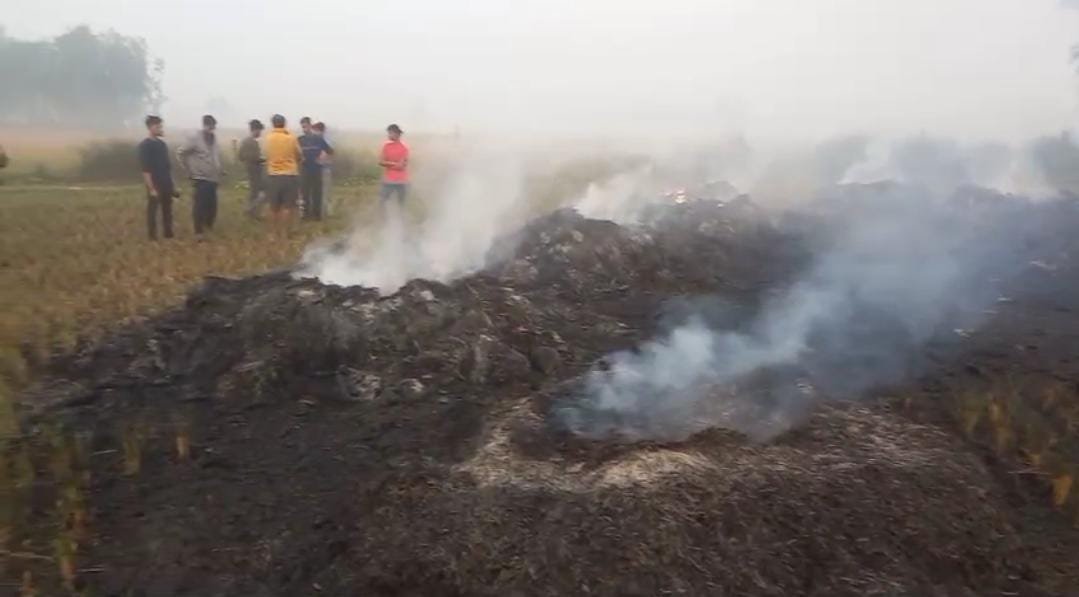 रायबरेली-गिरवी रखे आभूषण के विवाद में उपजी रंजिश के कारण फसल में लगाई आग,,,, 