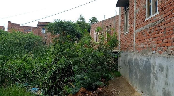 रायबरेली- ऊंचाहार नगर में सुरक्षित व तालाब कि भूमि पर अवैध कब्जा जारी,लेखापाल को नही है समय,,,