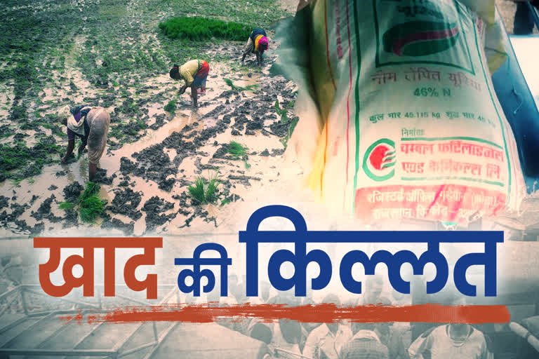 Raibareli-डीएपी की किल्लत से परेशान किसान*