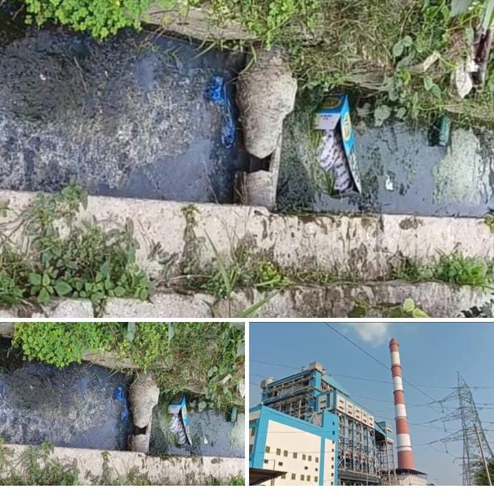 रायबरेली-प्रधानमंत्री की महत्वपूर्ण योजना  गंगा सफाई अभियान को एनटीपीसी लगा रहा पलीता,,,