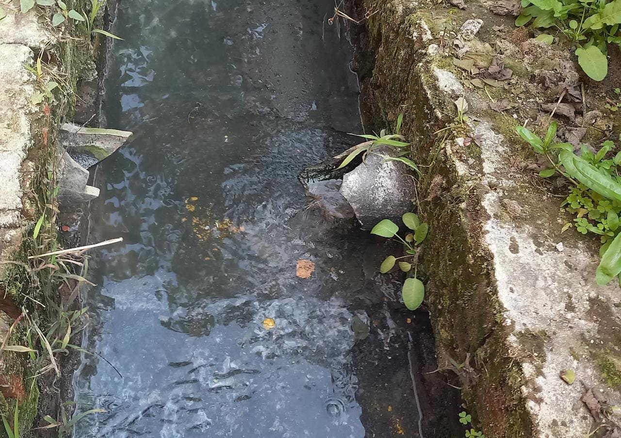रायबरेली- NTPC गंगा मां के आंचल को कर है दूषित जाने कैसे,,,,,,?