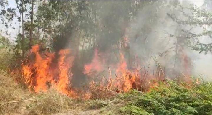 रायबरेली-जंगल में अचानक लगी आग से मची अफरा-तफरी,,,,