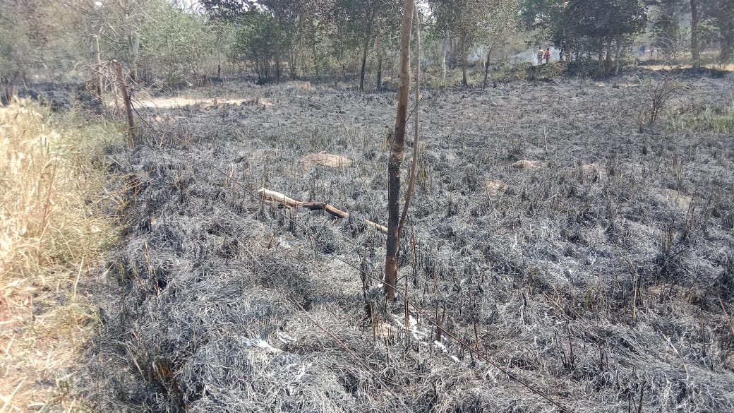 रायबरेली-अचानक लगी आग से तीन बीघे गेंहू जलकर राख,,,,