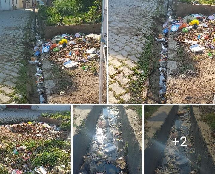 रायबरेली-फागिंग व दवा का छिड़काव ना होने से कस्बे में बढ़ा मच्छरों का प्रकोप