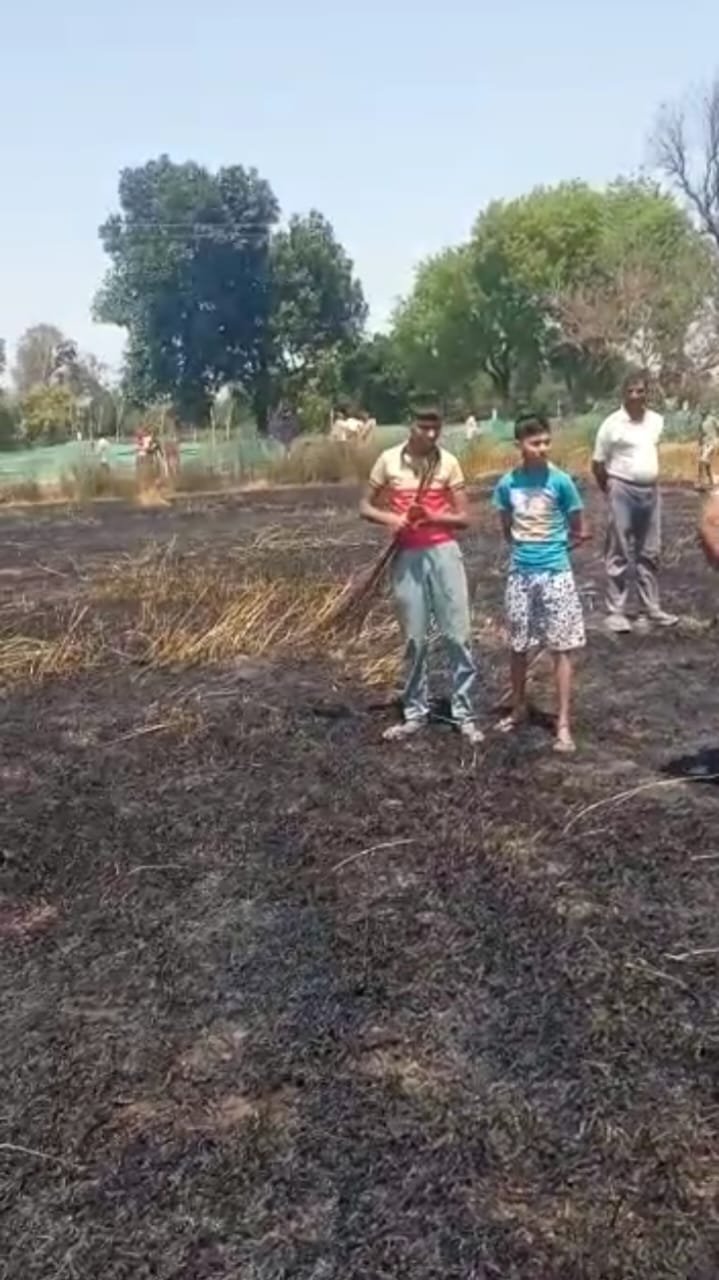 Raibareli-हाइटेंशन लाइन पर पेड़ गिरने से गेहूं के खेत में लगी आग,दो बीघे फसल जलकर राख*