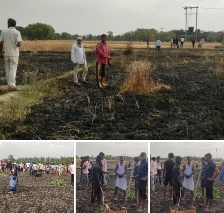 रायबरेली-ट्रांसफार्मर की चिंगारी से पांच किसानों के खेतों में खड़ी गेहूं की फसल जलकर हुइ राख,,, 